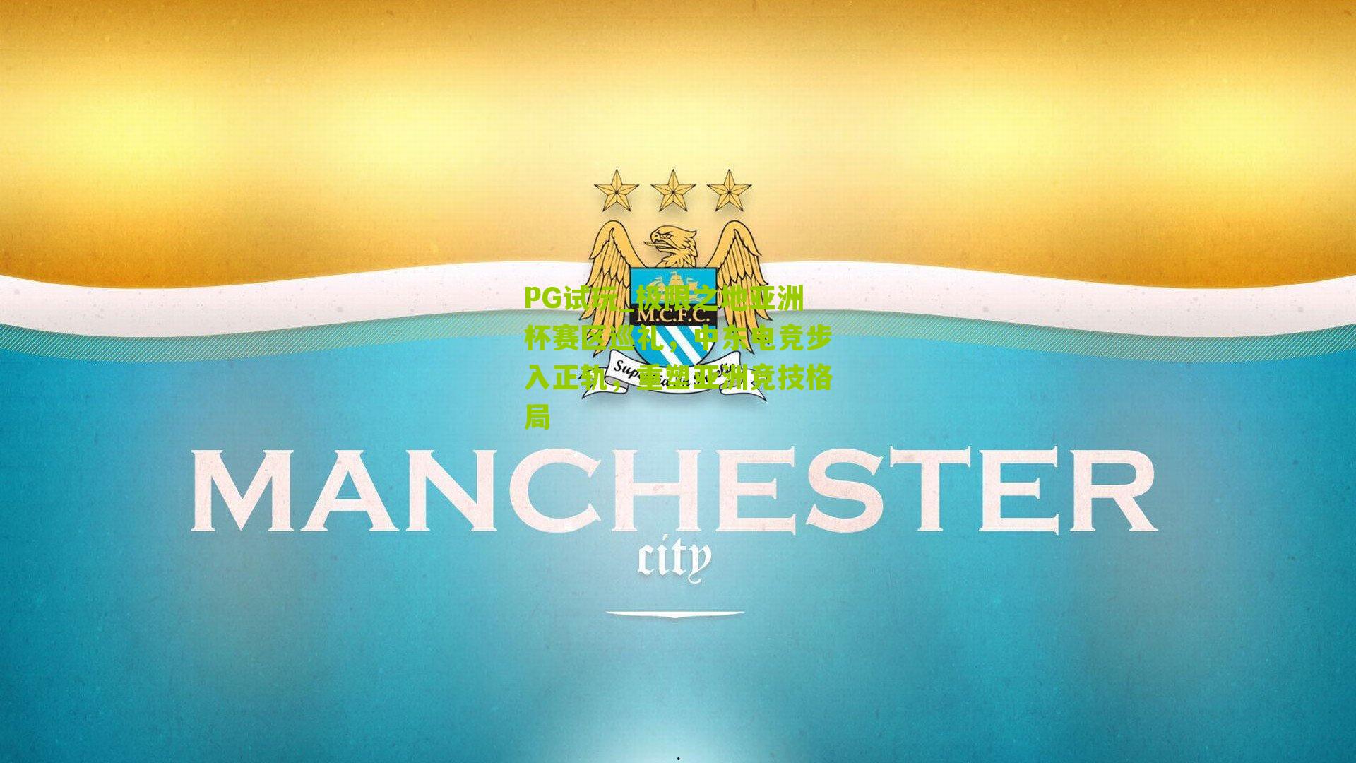 极限之地亚洲杯赛区巡礼，中东电竞步入正轨，重塑亚洲竞技格局