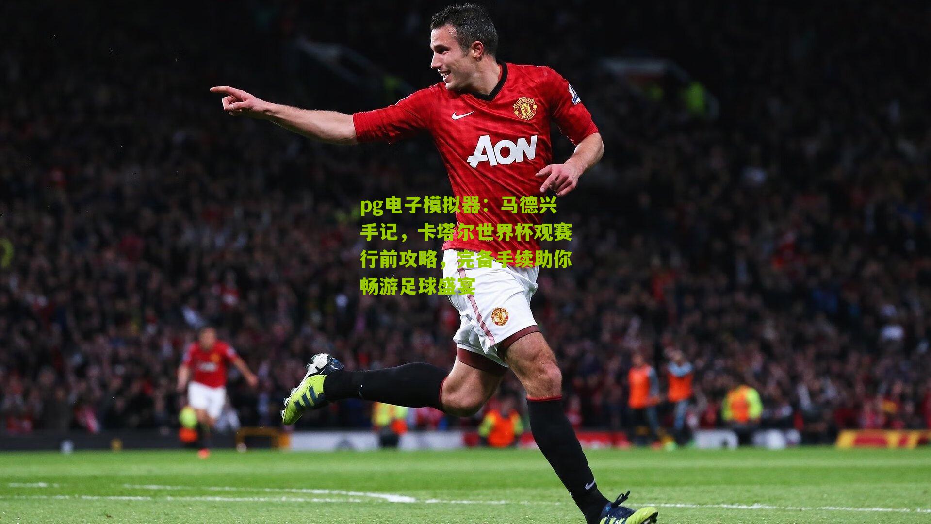马德兴手记，卡塔尔世界杯观赛行前攻略，完备手续助你畅游足球盛宴